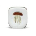 Jellyfish Paper Weight Square