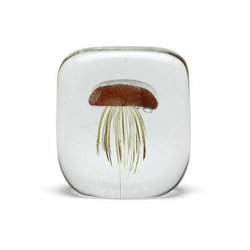 画像1: Jellyfish Paper Weight Square