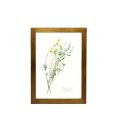 MONIQUE CHARTLAND GLASS FRAME FLOWER YELLOW