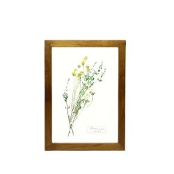 画像1: MONIQUE CHARTLAND GLASS FRAME FLOWER YELLOW