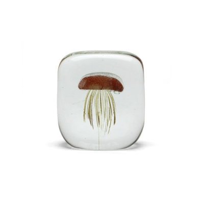 画像1: Jellyfish Paper Weight Square