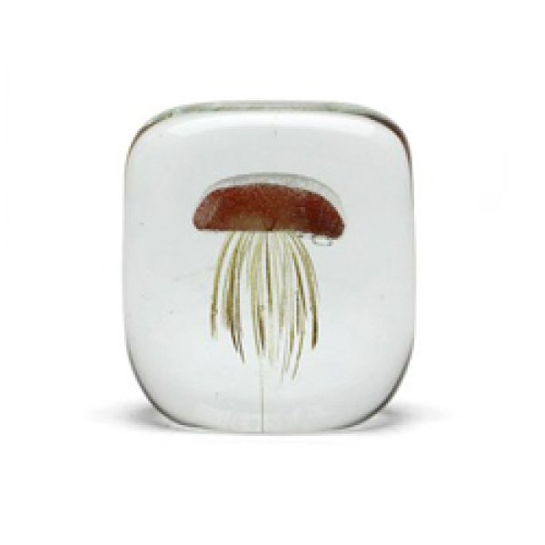 画像1: Jellyfish Paper Weight Square (1)